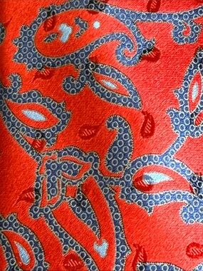 Ermenegildo Zegna Red Silk Paisley Tie with Blue Accents